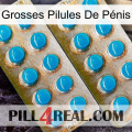 Grosses Pilules De Pénis new08